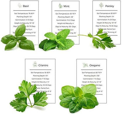 Herb Garden Seeds Collection - 5 Culinary Herb Seeds Pack - Organic Basil, Mint, Parsley, Cilantro and Oregano Seeds, Heirloom Non-GMO Seeds for Planting
