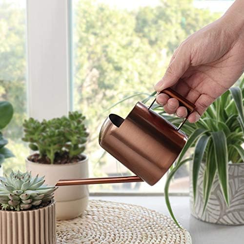 Mini Watering Can, 10oz/300ml Stainless Steel Long Spout Small Watering Can for Indoor Plants Succulents, Herbs (Bronze)