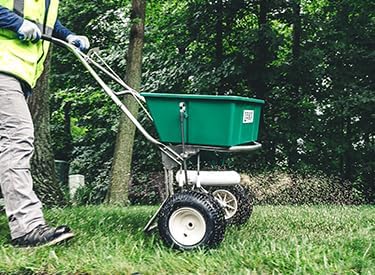 Lesco All-Pro Transition Tall Fescue Grass Seed Blend (50 lbs) – Drought-Tolerant, Heat & Shade Resistant, Insect-Resistant Lawn Seed for Durable Turf - **Non-Returnable**