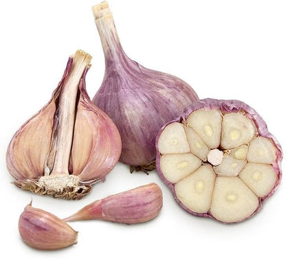5 Pack of Fresh Purple Garlic Bulb - Great for Planting and Growing OR Eating by Greenhouse PCA