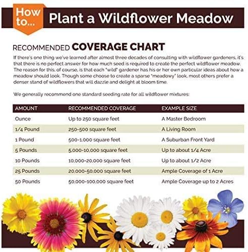Non GMO Bulk Annual Gaillardia Blanket Flower Seed -Gaillardia pulchella (25 Lbs)
