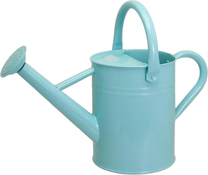 Metal Watering Can for Outdoor Plants, 1 Gallon Galvanized Steel Watering Can with Removable spout for Outdoor & Indoor Use, Perfect for Garden Flower, Houseplants, Mint
