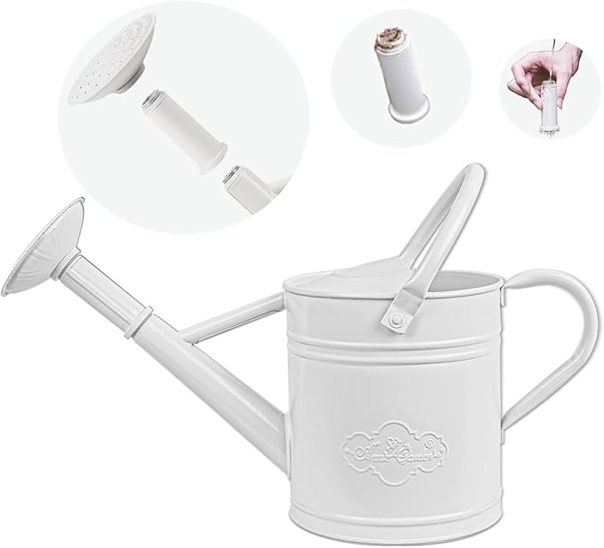 1 Gallon Metal Watering Can for Indoor Plants Outdoor Plants, Large Water Can, Garden Water Can for Kids, Detachable, Water Can with Handle, White