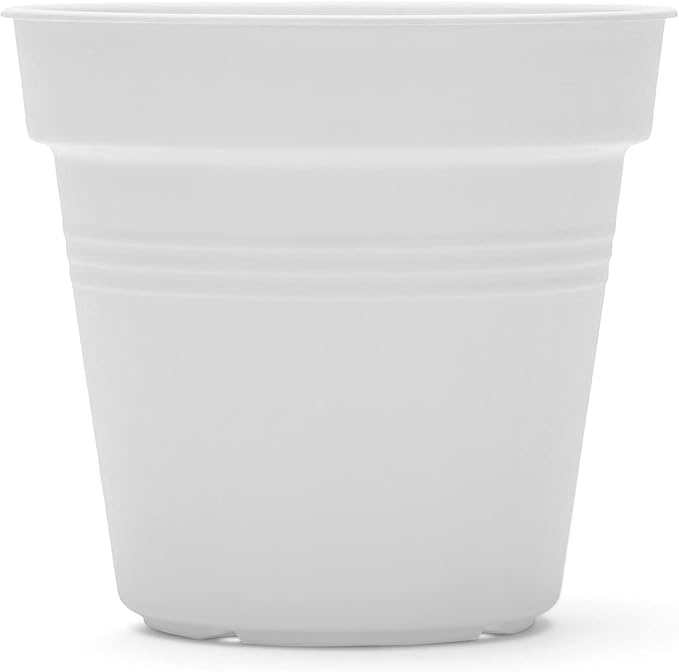 Mintra Home Garden Pots 4pk - Flowers, Herbs, Plants, Indoor, Outdoor, Colorful, Wholesale, Bulk (White, 15cm Diameter (5.9in))