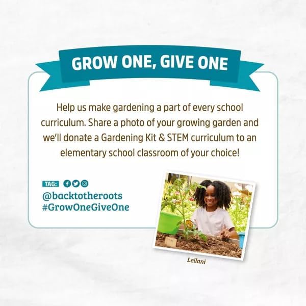 Wellness Grow Kit: Basil