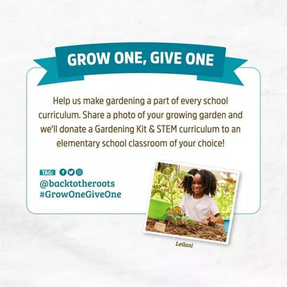 Wellness Grow Kit: Basil