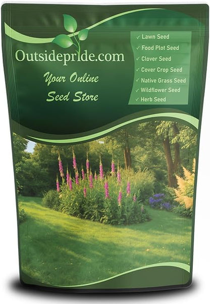 Outsidepride Sheeps Fine Fescue Grass Seed - 5 Lbs. Perennial Heat & Drought Tolerant Dense Green, Traffic-Resistant Turf for Shaded Environments w/OptiGrowth Coating for Seed Enhancement