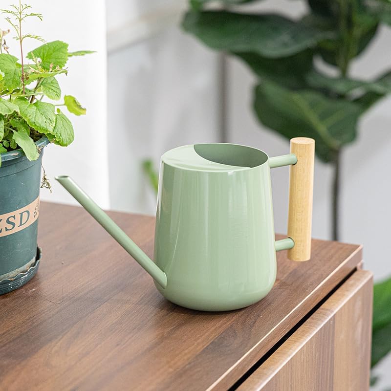 Watering Can Indoor Plants, 30oz/900ml Small Plant Watering Can with Long Spout, Stainless Steel Garden Watering Cans Outdoor Watering Pot for Indoor House Plants Bonsai Flower Decorative