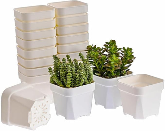 BangQiao 20 Pack 4.75 Inch Small White Plastic Square Nursery and Seedling Pot with Drainage Hole for Germination, Cactus, Herb, Succulent