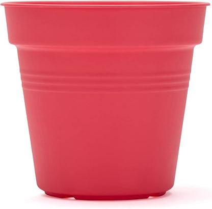 Mintra Home Garden Pots 4pk - Flowers, Herbs, Plants, Indoor, Outdoor, Colorful, Wholesale, Bulk (Coral, 15cm Diameter (5.9in))