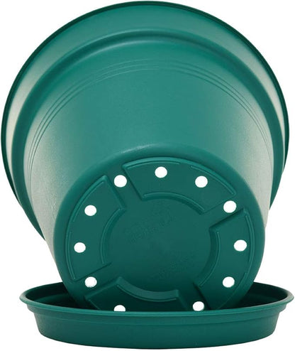 Mintra Home Garden Pots 4pk - Flowers, Herbs, Plants, Indoor, Outdoor, Colorful, Wholesale, Bulk (Forest Green, 11cm Diameter (4.3in))