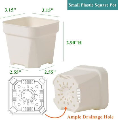 BangQiao 60 Pack 3.15 Inch Small White Plastic Square Nursery and Seedling Pot with Drainage Hole for Germination, Cactus, Herb, Succulent