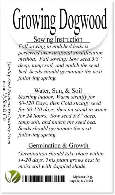 Cedar, Dogwood, Pine, Redwood, Spruce, Tree Seed by MySeeds.Co, You Choose The Color n Quantity (1 Pack, Cornelian Cherry - Big Pack)