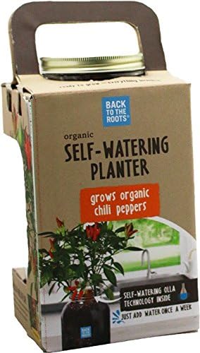Back to the Roots Non-GMO Chili Planter, Grow Organic Chili Peppers Year Round, Windowsill Grow Kit, Top Gardening Gift, Holiday Gift, & Unique Gift