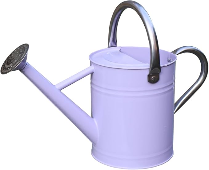 Metal Watering Can, One Gallon Watering Cans Stainless Steel for Outdoor Indoor Garden Plants Watering (Stainless Steel Handle Purple)