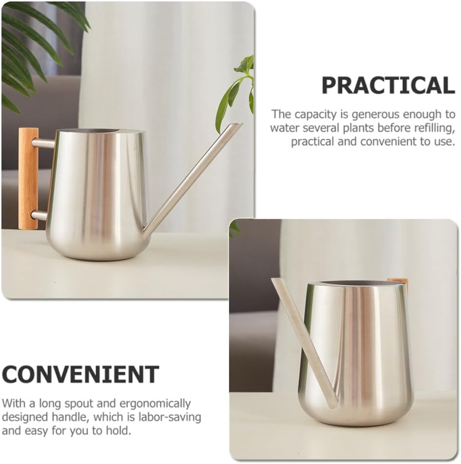 Watering Can Indoor Plants, 30oz/900ml Small Plant Watering Can with Long Spout, Stainless Steel Garden Watering Cans Outdoor Watering Pot for Indoor House Plants Bonsai Flower Decorative