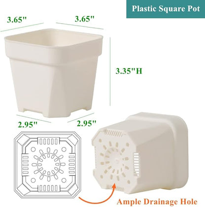 BangQiao 40 Pack 3.65 Inch White Plastic Square Nursery Seedlings Pot for Succulent, Cutting, Transplanting