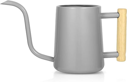 Watering Can Indoor Plants, 35 oz/1000 ml Metal Stainless Steel Watering Can Pot with Long Spout for Indoor House Plants Bonsai Outdoor Garden Flower Decorative (Gray)