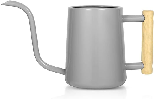 Watering Can Indoor Plants, 35 oz/1000 ml Metal Stainless Steel Watering Can Pot with Long Spout for Indoor House Plants Bonsai Outdoor Garden Flower Decorative (Gray)
