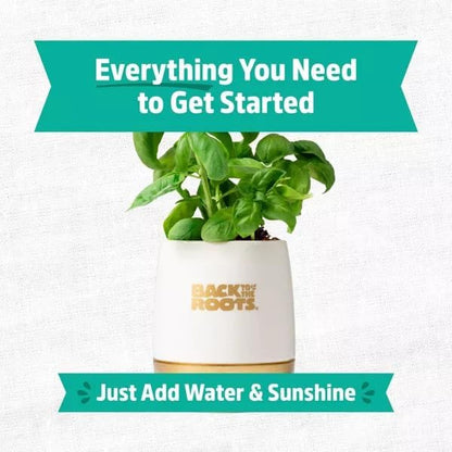 Wellness Grow Kit: Basil