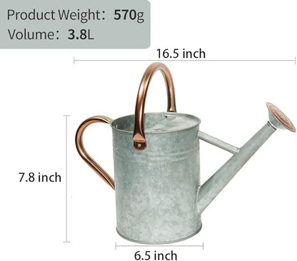Metal Watering Can, One Gallon Watering Cans Stainless Steel for Outdoor Indoor Garden Plants Watering (Zinc 1 Gallon)