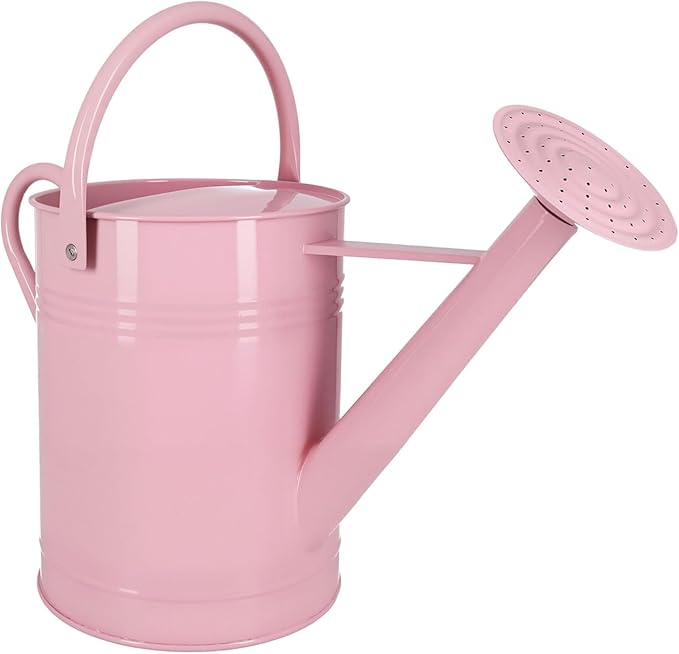 Galvanized Iron Watering Can for Indoor Plants, DIY Watering Cans for House Plant Garden Flower, Long Spout Water Can for Outdoor Watering Plants 7.57L 2 Gallon (Pink)
