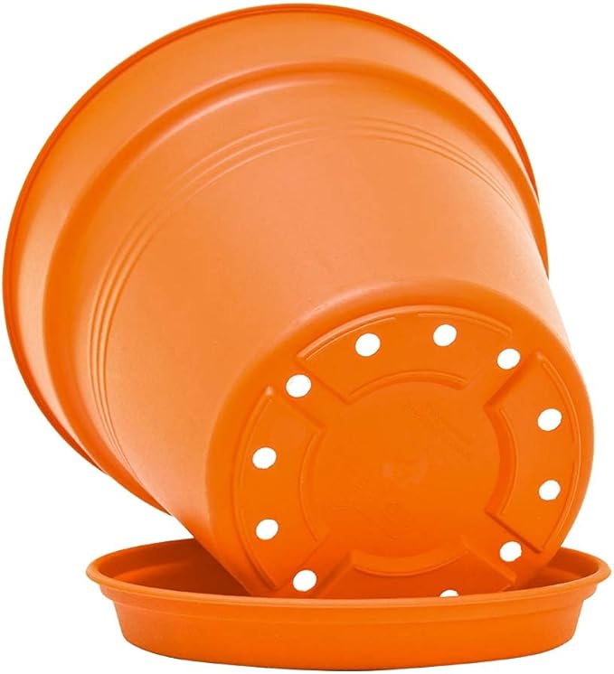 Mintra Home Garden Pots 4pk - Flowers, Herbs, Plants, Indoor, Outdoor, Colorful, Wholesale, Bulk (Orange, 17cm Diameter (6.6in))