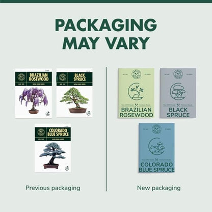 Garden Republic Bonsai Tree Kit - Grow 3 Mini Bonsai Trees, Indoor Plant Growing - Starter Kit with Seeds, Soil, Planters & Shears, Gardening Gifts for Women, Fathers Day Gardening Gifts