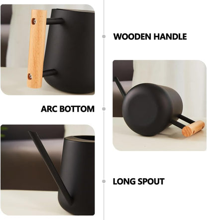 Watering Can Indoor Plants, 30oz/900ml Small Plant Watering Can with Long Spout, Stainless Steel Garden Watering Cans Outdoor Watering Pot for Indoor House Plants Bonsai Flower Decorative