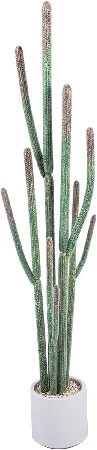 Tall Faux Cactus Plant，62in Realistic Texture Tall Fake Plant, Artificial Cactus Large with White Planter Indoor Outdoor for Home Office Living Room Bedroom Foyer Porch Decor.