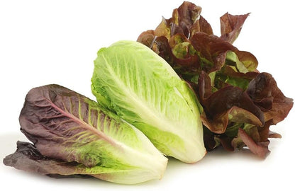 Park Seed Easy DIY Planting Sow Effortless Collection Seed Tape, Organic Tricolor Romaine Blend, 15 Feet