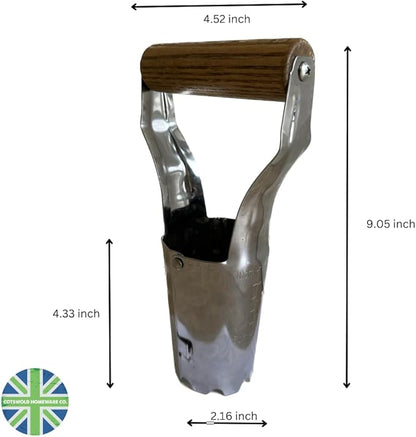 Cotswold Homeware Silicone Seed Starter Tray | 2 X 12 Cell Reusable Seed Starting Tray | for Vegetable, Flower & Herb Seeds | Indoor Grow Kit to Plant Seedlings | Stainless Steel Bulb Planter