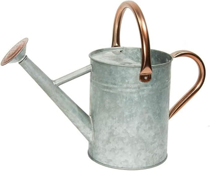 Metal Watering Can, One Gallon Watering Cans Stainless Steel for Outdoor Indoor Garden Plants Watering (Zinc 1 Gallon)