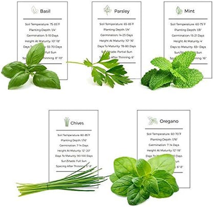 Herb Garden Seeds Collection - 5 Culinary Herb Seeds Pack - Organic Basil, Parsley, Mint, Chives and Oregano Seeds, Heirloom Non-GMO Seeds for Planting