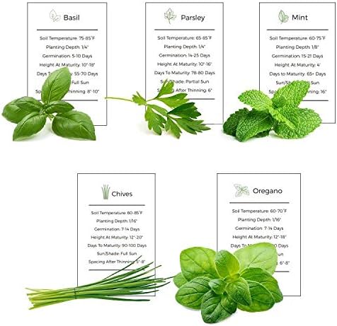 Herb Garden Seeds Collection - 5 Culinary Herb Seeds Pack - Organic Basil, Parsley, Mint, Chives and Oregano Seeds, Heirloom Non-GMO Seeds for Planting
