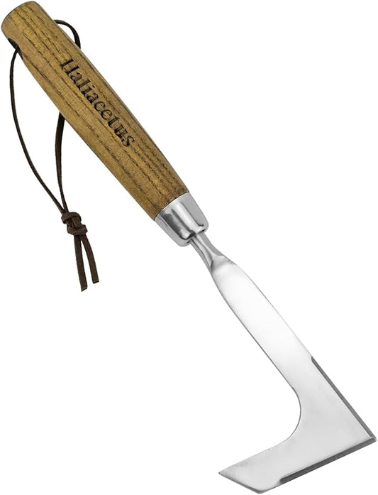Haliaeetus Crack Weeder, L-Shape Stainless Steel Crevice Weeding Tool, Comfortable Grip Wood Handle Paver Weeder, 11'' Sidewalk Weed Removal Tool for Garden Lawn, Bricked Patio and Terrace Paving Moss