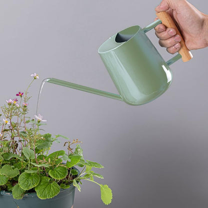 Watering Can Indoor Plants, 30oz/900ml Small Plant Watering Can with Long Spout, Stainless Steel Garden Watering Cans Outdoor Watering Pot for Indoor House Plants Bonsai Flower Decorative
