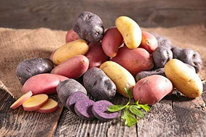 Simply Seed - 10 Piece - Fingerling Potato Seed Mix - Non GMO - American Raised - Ready for Planting