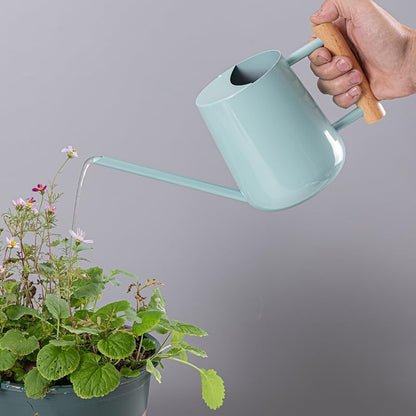 Watering Can Indoor Plants, 30oz/900ml Small Plant Watering Can with Long Spout, Stainless Steel Garden Watering Cans Outdoor Watering Pot for Indoor House Plants Bonsai Flower Decorative