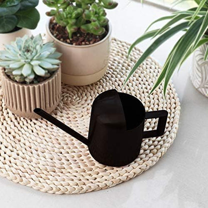 Mini Watering Can, 10oz/300ml Stainless Steel Long Spout Small Watering Can for Indoor Plants Succulents, Herbs (Black)