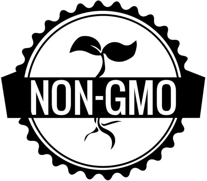 Gaea's Blessing Seeds - Rosemary Seeds - Heirloom Non-GMO Seeds with Easy to Follow Instructions 97% Germination Rate (Pack of 2)