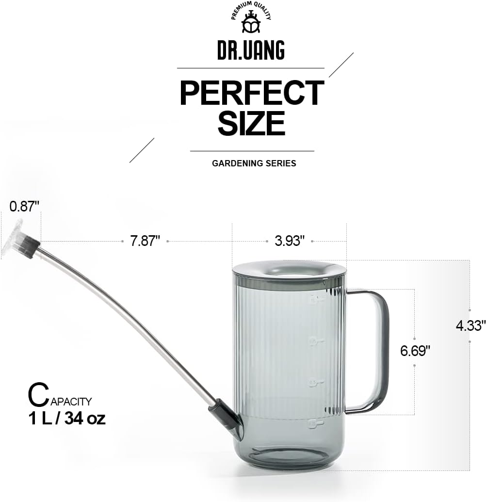 Small Watering Can Indoor Plants with Long Spout (1L, Gray)