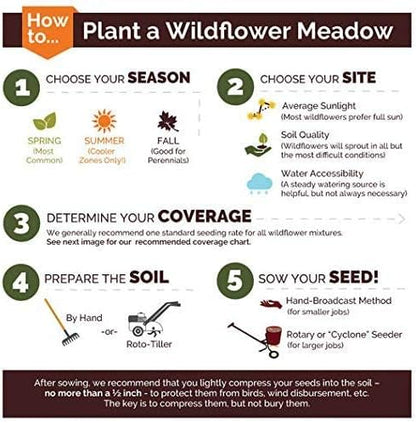 Dirt Goddess Super Seeds ~ Annual Gaillardia Seeds, Indian Blanket Flower -Gaillardia pulchella (1/4 Lb) 56,250 Seeds Non GMO Bulk