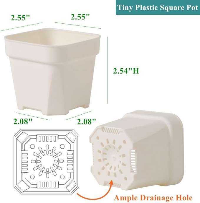 BangQiao 100 Pack 2.55 Inch Small White Plastic Square Nursery and Seedling Pot with Drain Hole for Germination, Cactus, Herb, Succulent