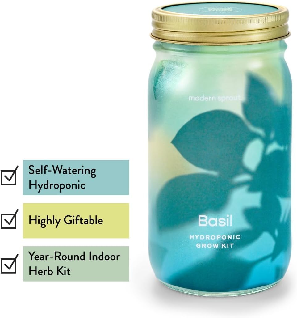Modern Sprout Mason Garden Jar + Replant Kit - Self-Watering Hydroponics Growing System Kit w/Organic Herb Seeds - Jar Planter for Indoor Herb Garden - Seed Starter - Home Decor Gifting - Basil