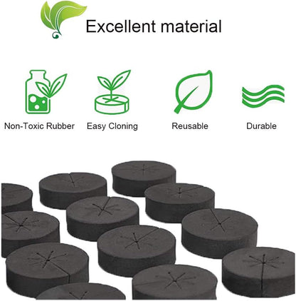 144 Pack Cloning Collars Inserts Premium Grade Foam,Better Than Neoprene for Hydroponics Plant Germination in DIY Cloner & Clone Machines, Fits 2 Inch Net Pots