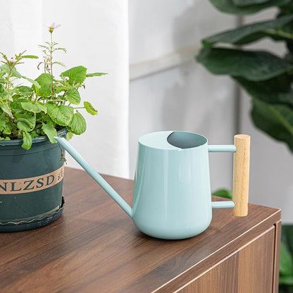 Watering Can Indoor Plants, 30oz/900ml Small Plant Watering Can with Long Spout, Stainless Steel Garden Watering Cans Outdoor Watering Pot for Indoor House Plants Bonsai Flower Decorative