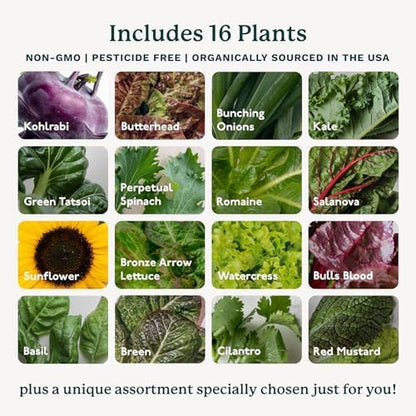 Gardyn Studio Vertical Hydroponics Growing System Kit - 16 Non-GMO Plants, Herbs, Vegetables - Tower Garden - Hydroponic Herb Garden Planter Indoor Kit - Indoor Gardening System with LED Grow Lights