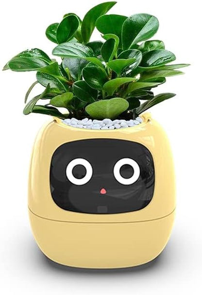 Smart Flowerpots,Smart Pet Planter,Ai Planter,Intelligent Flowerpots,Multiple Expressions,7 Smart Sensors, and Ai Chips Make Raising Plants Easy and Fun for Living Room,Plant-Free,Yellow