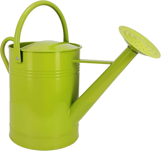 Galvanized Iron Watering Can for Indoor Plants, DIY Watering Cans for House Plant Garden Flower, Long Spout Water Can for Outdoor Watering Plants 7.57L 2 Gallon (Green)